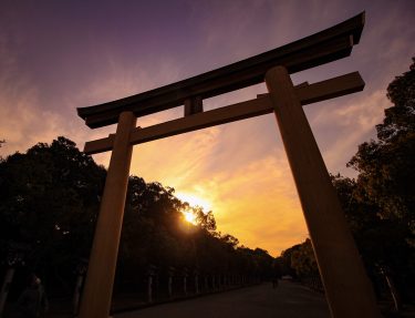 奈良県ST士会定期勉強会ﾐﾆﾚｸﾁｬｰｼﾘｰｽﾞ<br> 明日の臨床に役立つ呼吸器疾患の病態生理とﾘｽｸ管理 2023.2.28（ｵﾝﾗｲﾝ研修）  <br>第7回『これで安心！呼吸器疾患に合併しやすい不整脈の鑑別とその対応』