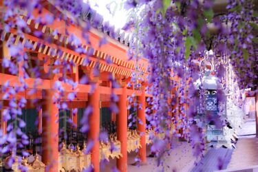 2021年度定期総会のご案内と資料送付について