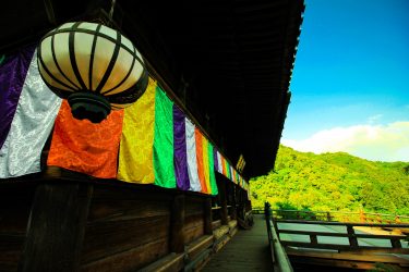 奈良県言語聴覚士会定期勉強会<br>「嚥下機能における運動と生理①」2021.７.28（ｵﾝﾗｲﾝ研修）