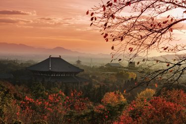 2021年度奈良県言語聴覚士会主催<br>日本言語聴覚士協会生涯学習ﾌﾟﾛｸﾞﾗﾑ基礎講座のご案内<br>2022.1.21